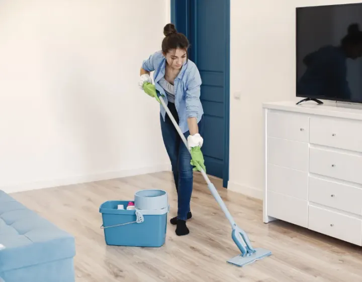 Femme de ménage Gars